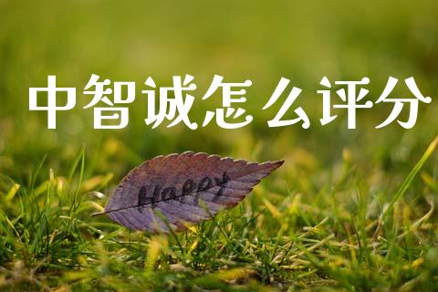中智诚怎么评分_https://m.ycdhulan.com_国际金融_第1张
