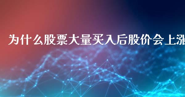 为什么股票大量买入后股价会上涨_https://m.ycdhulan.com_期货交易_第1张