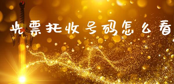 光票托收号码怎么看_https://m.ycdhulan.com_国际金融_第1张