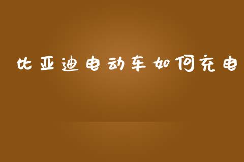 比亚迪电动车如何充电_https://m.ycdhulan.com_股市在线_第1张