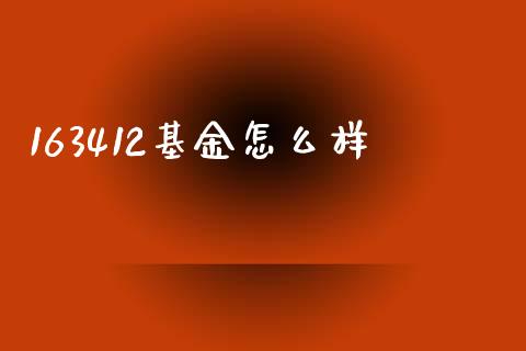 163412基金怎么样_https://m.ycdhulan.com_国际金融_第1张