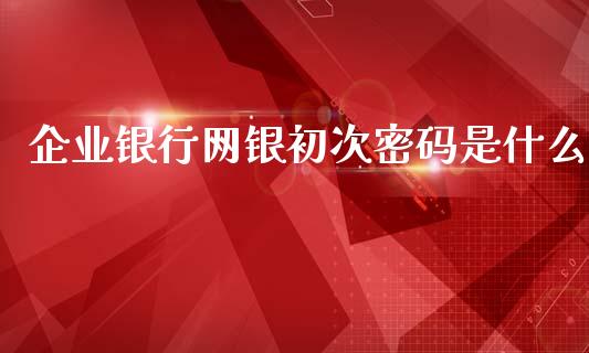 企业银行网银初次密码是什么_https://m.ycdhulan.com_财经要闻_第1张