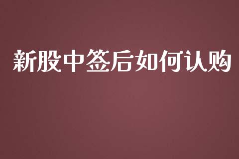 新股中签后如何认购_https://m.ycdhulan.com_财经要闻_第1张