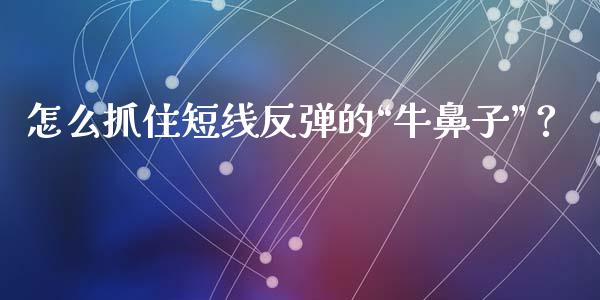 怎么抓住短线反弹的“牛鼻子”？_https://m.ycdhulan.com_期货交易_第1张
