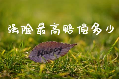 强险最高赔偿多少_https://m.ycdhulan.com_股市在线_第1张