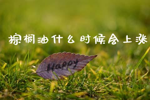 棕榈油什么时候会上涨_https://m.ycdhulan.com_期货交易_第1张