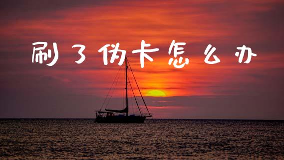 刷了伪卡怎么办_https://m.ycdhulan.com_理财产品_第1张