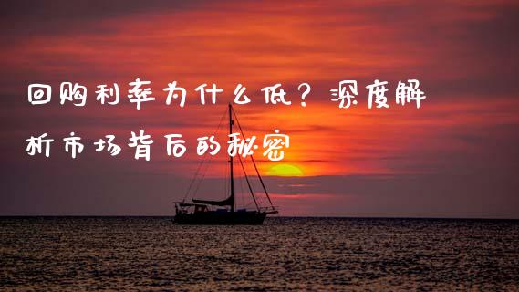 回购利率为什么低？深度解析市场背后的秘密_https://m.ycdhulan.com_证券新闻_第1张