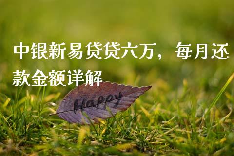 中银新易贷贷六万，每月还款金额详解_https://m.ycdhulan.com_国际金融_第1张
