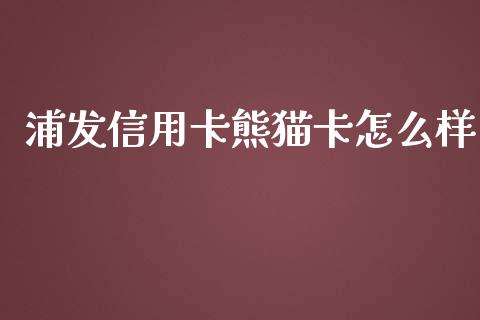 浦发信用卡熊猫卡怎么样_https://m.ycdhulan.com_国际金融_第1张