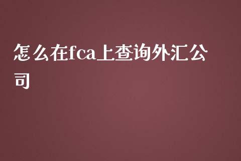 怎么在fca上查询外汇公司_https://m.ycdhulan.com_国际金融_第1张