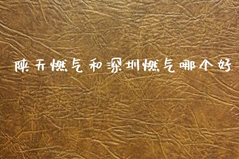 陕天燃气和深圳燃气哪个好_https://m.ycdhulan.com_财经要闻_第1张