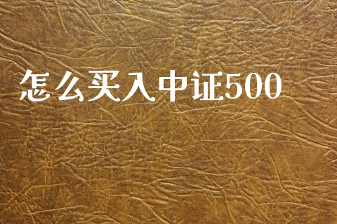 怎么买入中证500_https://m.ycdhulan.com_证券新闻_第1张