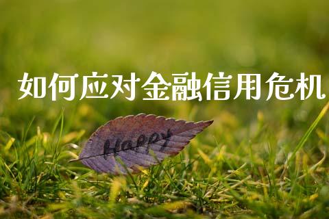 如何应对金融信用危机_https://m.ycdhulan.com_证券新闻_第1张