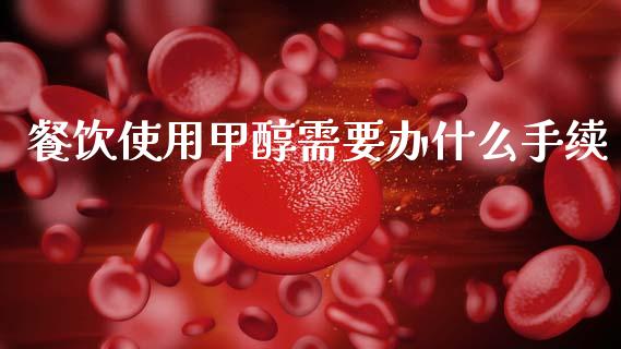 餐饮使用甲醇需要办什么手续_股市在线_第1张_财经要闻_股市在线_理财产品_国际金融 餐饮使用甲醇需要办什么手续_https://m.ycdhulan.com_股市在线_第1张