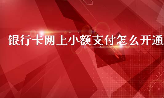 银行卡网上小额支付怎么开通_https://m.ycdhulan.com_国际金融_第1张