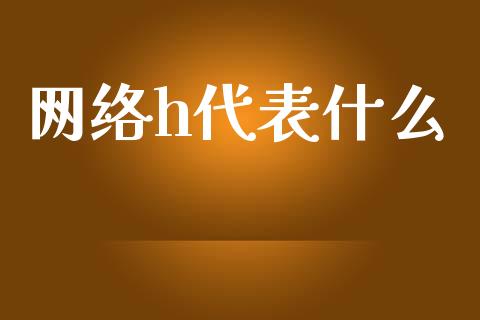 网络h代表什么_https://m.ycdhulan.com_理财产品_第1张