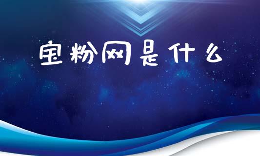 宝粉网是什么_https://m.ycdhulan.com_财经要闻_第1张