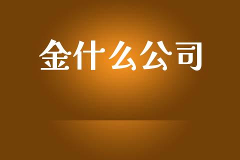 金什么公司_https://m.ycdhulan.com_股市在线_第1张