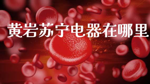 黄岩苏宁电器在哪里_https://m.ycdhulan.com_期货交易_第1张