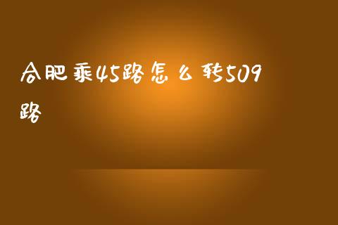 合肥乘45路怎么转509路_https://m.ycdhulan.com_财经要闻_第1张