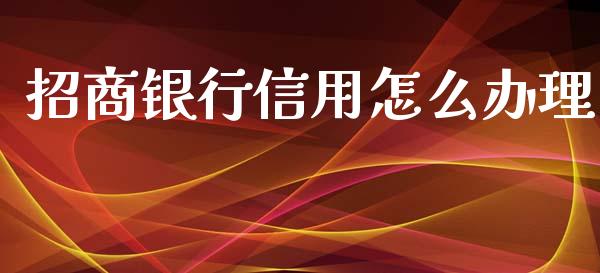 招商银行信用怎么办理_https://m.ycdhulan.com_财经要闻_第1张
