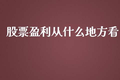 股票盈利从什么地方看_https://m.ycdhulan.com_股市在线_第1张