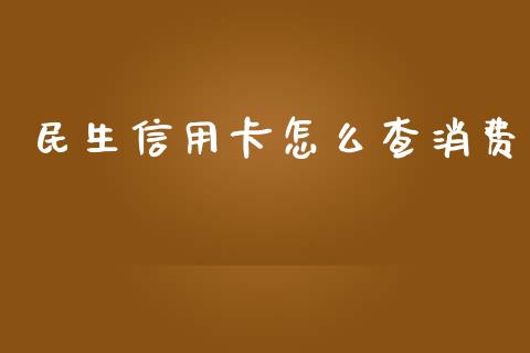 民生信用卡怎么查消费_https://m.ycdhulan.com_股市在线_第1张