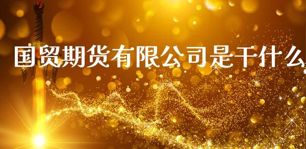 国贸期货有限公司是干什么_https://m.ycdhulan.com_证券新闻_第1张
