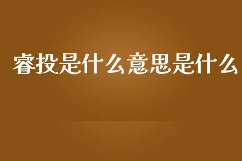 睿投是什么意思是什么_https://m.ycdhulan.com_国际金融_第1张