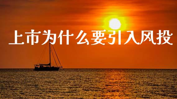 上市为什么要引入风投_https://m.ycdhulan.com_财经要闻_第1张