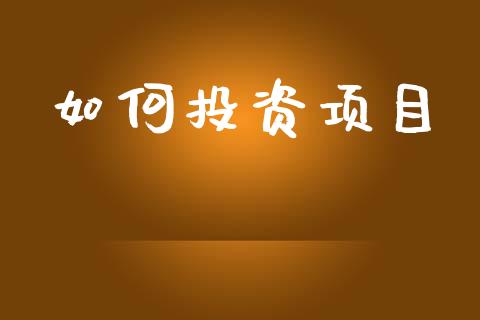 如何投资项目_https://m.ycdhulan.com_国际金融_第1张