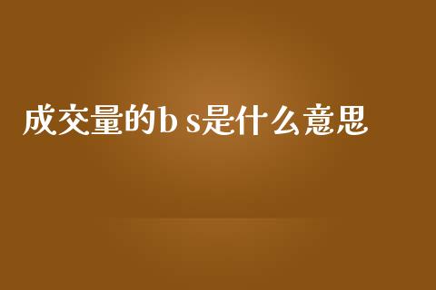 成交量的b s是什么意思_https://m.ycdhulan.com_证券新闻_第1张