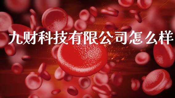 九财科技有限公司怎么样_https://m.ycdhulan.com_理财产品_第1张
