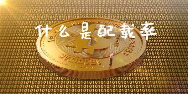 什么是配载率_https://m.ycdhulan.com_财经要闻_第1张
