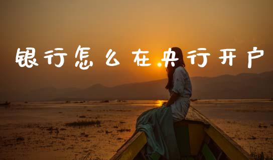 银行怎么在央行开户_https://m.ycdhulan.com_国际金融_第1张