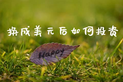 换成美元后如何投资_https://m.ycdhulan.com_理财产品_第1张