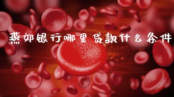 燕郊银行哪里贷款什么条件_https://m.ycdhulan.com_股市在线_第1张