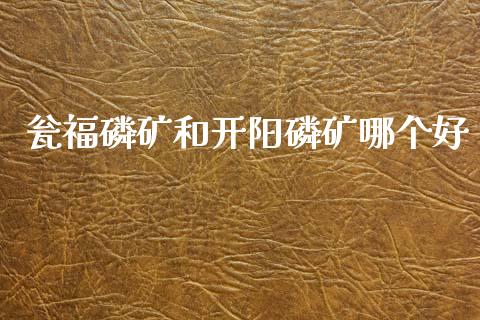 瓮福磷矿和开阳磷矿哪个好_https://m.ycdhulan.com_理财产品_第1张