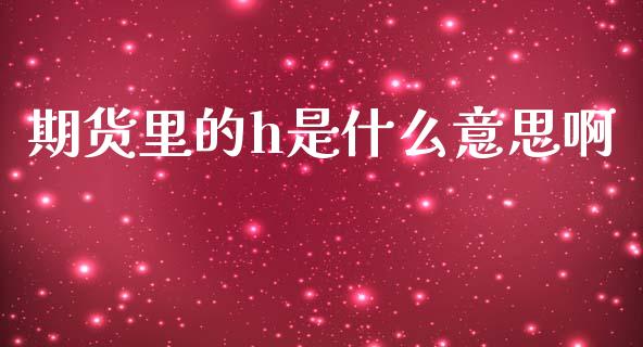 期货里的h是什么意思啊_https://m.ycdhulan.com_国际金融_第1张