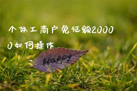 个体工商户免征额20000如何操作_https://m.ycdhulan.com_股市在线_第1张