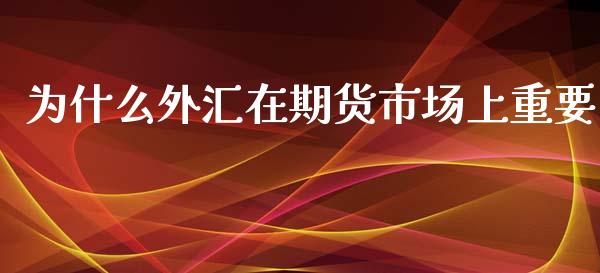 为什么外汇在期货市场上重要_https://m.ycdhulan.com_证券新闻_第1张