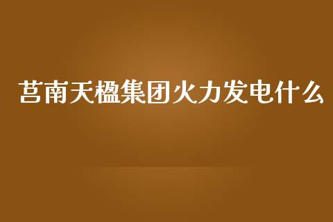 莒南天楹集团火力发电什么_https://m.ycdhulan.com_证券新闻_第1张