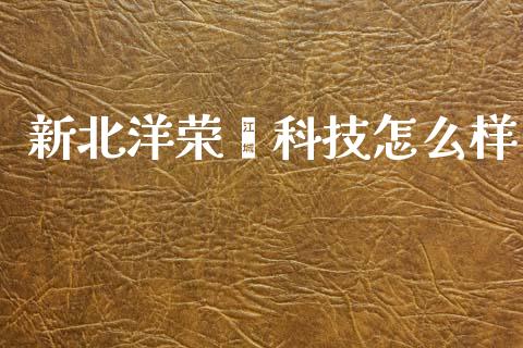 新北洋荣鑫科技怎么样_https://m.ycdhulan.com_股市在线_第1张