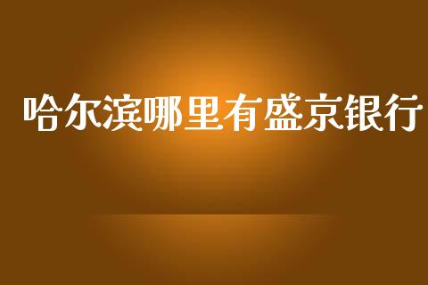 哈尔滨哪里有盛京银行_https://m.ycdhulan.com_期货交易_第1张