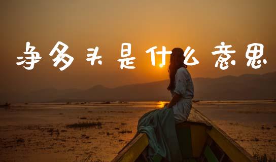 净多头是什么意思_https://m.ycdhulan.com_期货交易_第1张