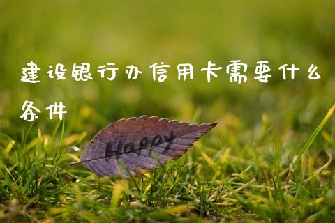 建设银行办信用卡需要什么条件_https://m.ycdhulan.com_国际金融_第1张