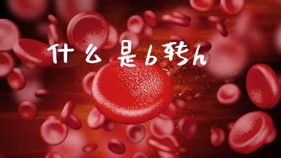 什么是b转h_https://m.ycdhulan.com_理财产品_第1张