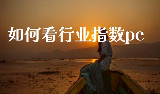 如何看行业指数pe_https://m.ycdhulan.com_理财产品_第1张