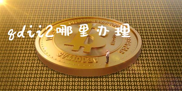 qdii2哪里办理_https://m.ycdhulan.com_财经要闻_第1张